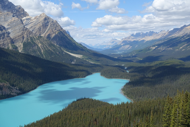 20250811.2.Peyto.jpg